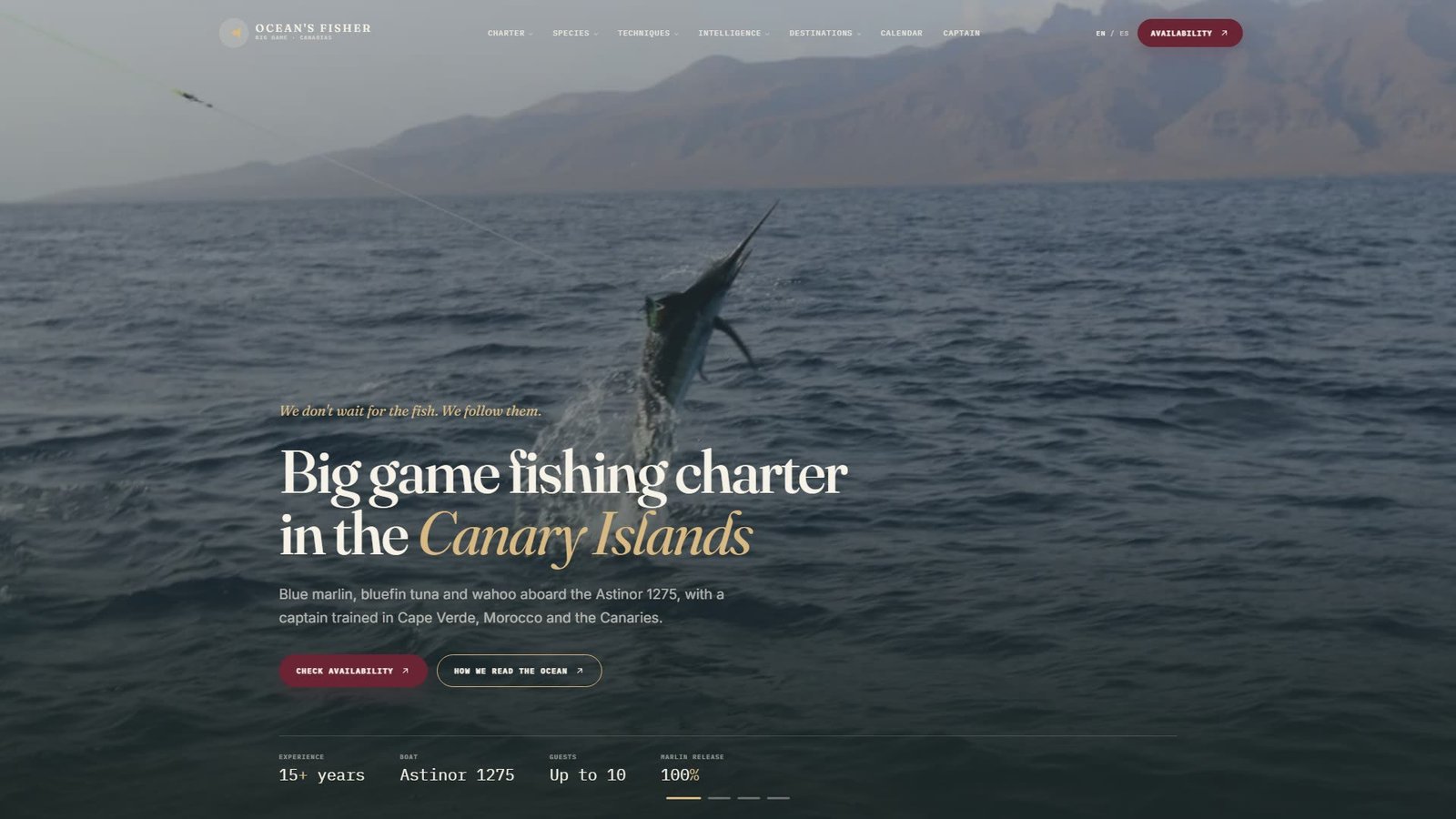 Portada de la web de The Ocean’s Fisher: un marlín azul salta frente a la costa canaria, con el titular del charter sobre la fotografía.
